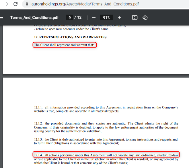 Aurora Holdings limited dokumenty