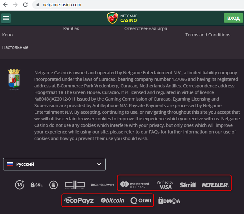 Netgame Casino platezhnye sistemy