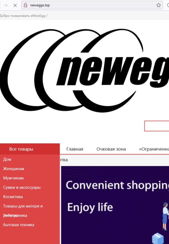 NewEgg adresa i kontakty